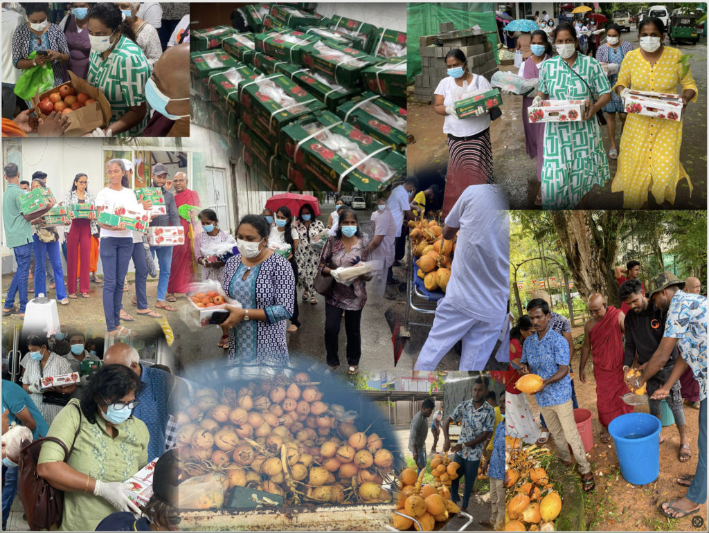 Handing over King Coconuts & Pomegranates to Apeksha Hospital Healthcare Consulting program